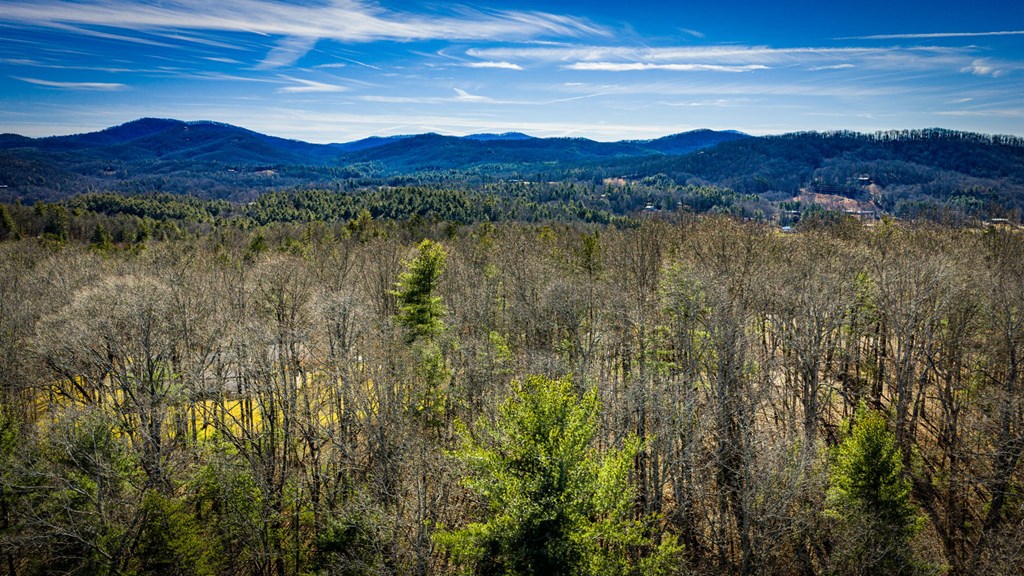 32.3 Maple Grove Road Morganton, GA 30560 - Photo 18 of 46