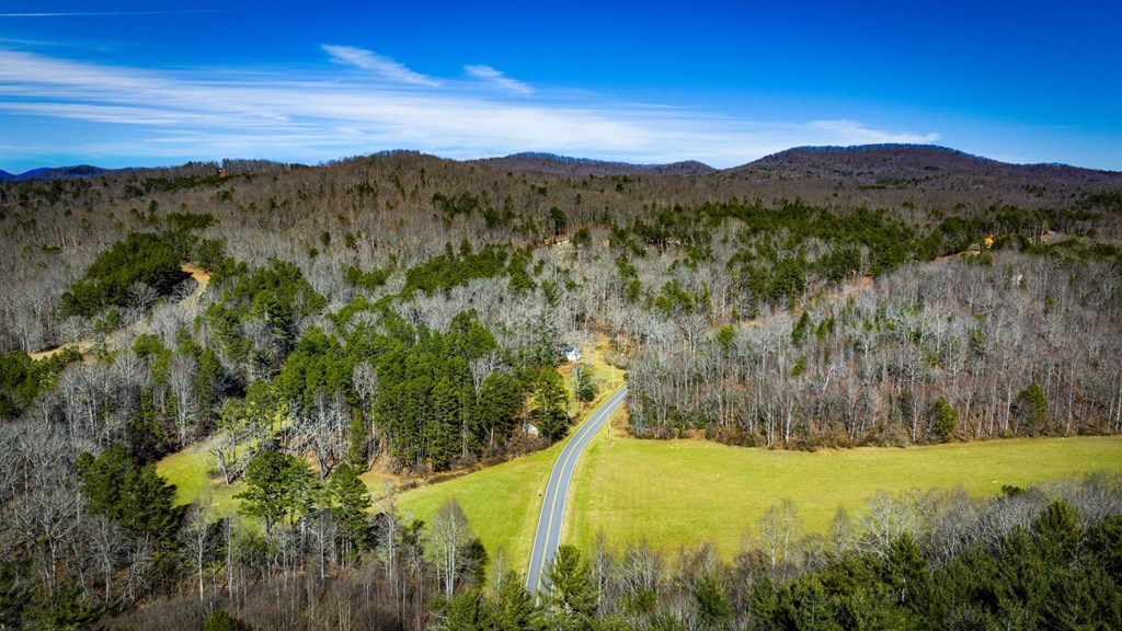 32.3 Maple Grove Road Morganton, GA 30560 - Photo 20 of 46 a view of lake and mountain