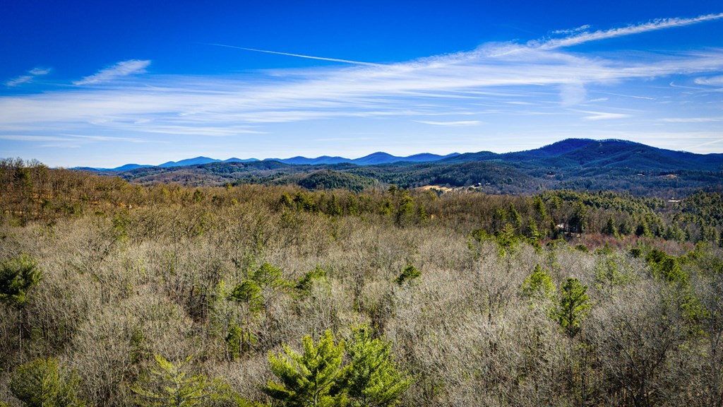 32.3 Maple Grove Road Morganton, GA 30560 - Photo 21 of 46 a view of an lake and mountain
