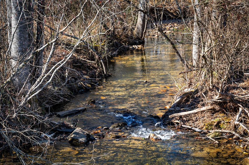 32.3 Maple Grove Road Morganton, GA 30560 - Photo 24 of 46 a view of yard