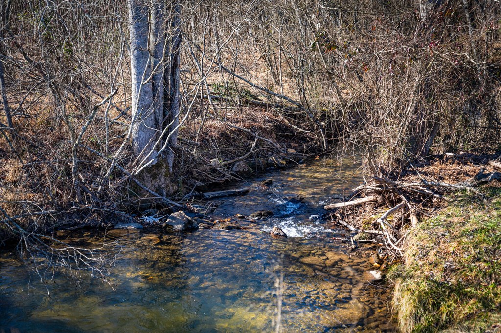 32.3 Maple Grove Road Morganton, GA 30560 - Photo 25 of 46 a backyard of a house