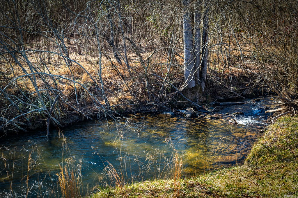 32.3 Maple Grove Road Morganton, GA 30560 - Photo 26 of 46 a view of lake
