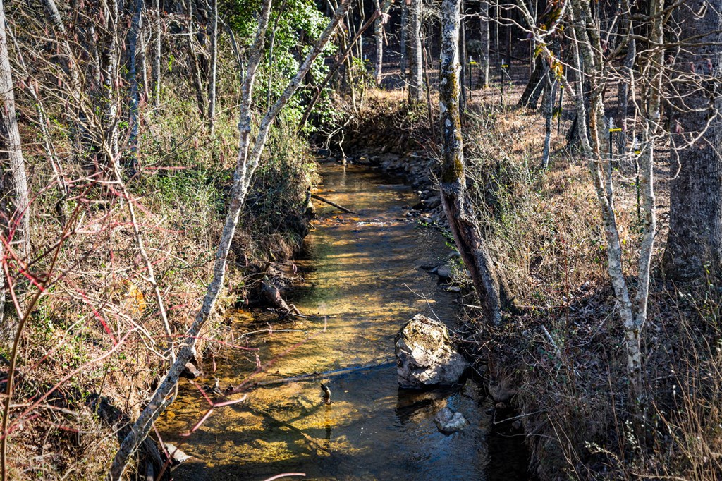 32.3 Maple Grove Road Morganton, GA 30560 - Photo 29 of 46 a view of water from a yard
