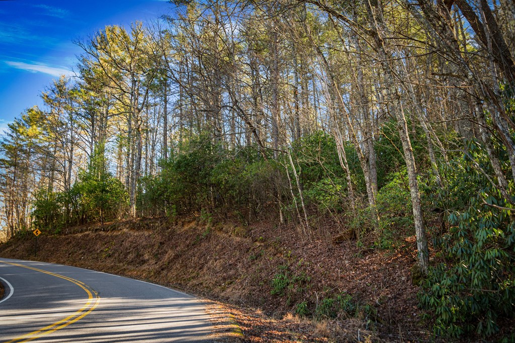 32.3 Maple Grove Road Morganton, GA 30560 - Photo 30 of 46 a view of a forest