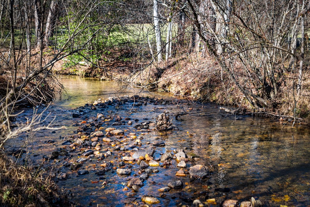 32.3 Maple Grove Road Morganton, GA 30560 - Photo 34 of 46 a view of lake