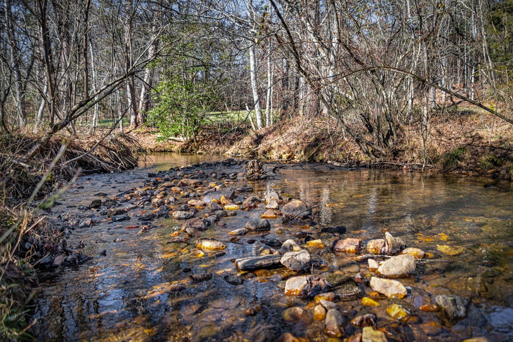 32.3 Maple Grove Road Morganton, GA 30560 - Photo 35 of 46 a view of lake