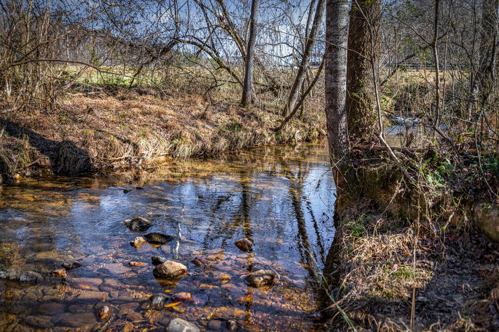 32.3 Maple Grove Road Morganton, GA 30560 - Photo 36 of 46 a view of outdoor space