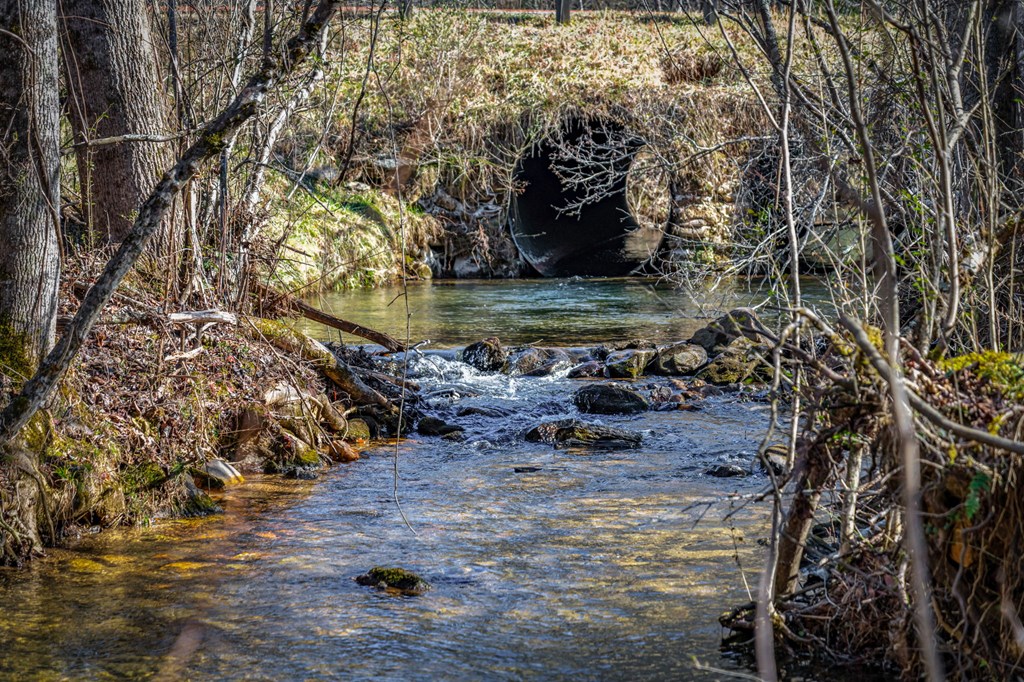 32.3 Maple Grove Road Morganton, GA 30560 - Photo 37 of 46 a view of lake from yard