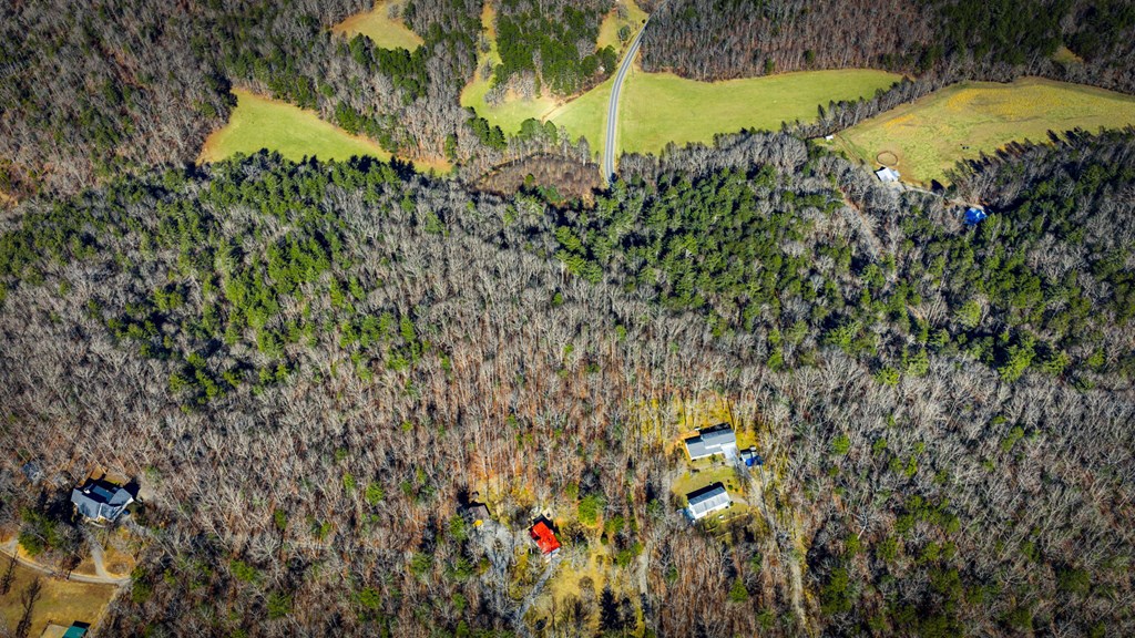 32.3 Maple Grove Road Morganton, GA 30560 - Photo 4 of 46 a view of a garden