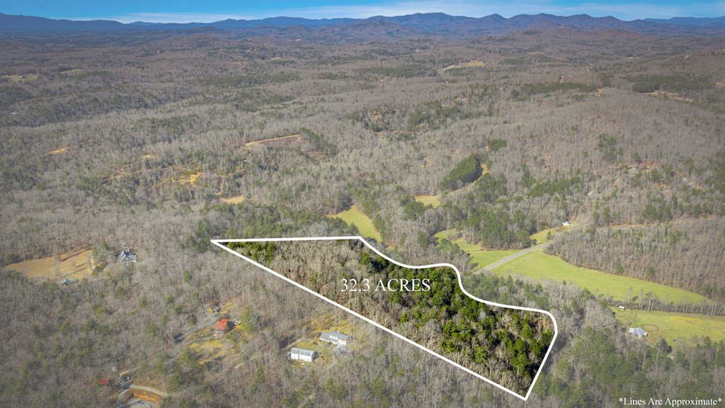 32.3 Maple Grove Road Morganton, GA 30560 - Photo 5 of 46 a view of a balcony with mountain view