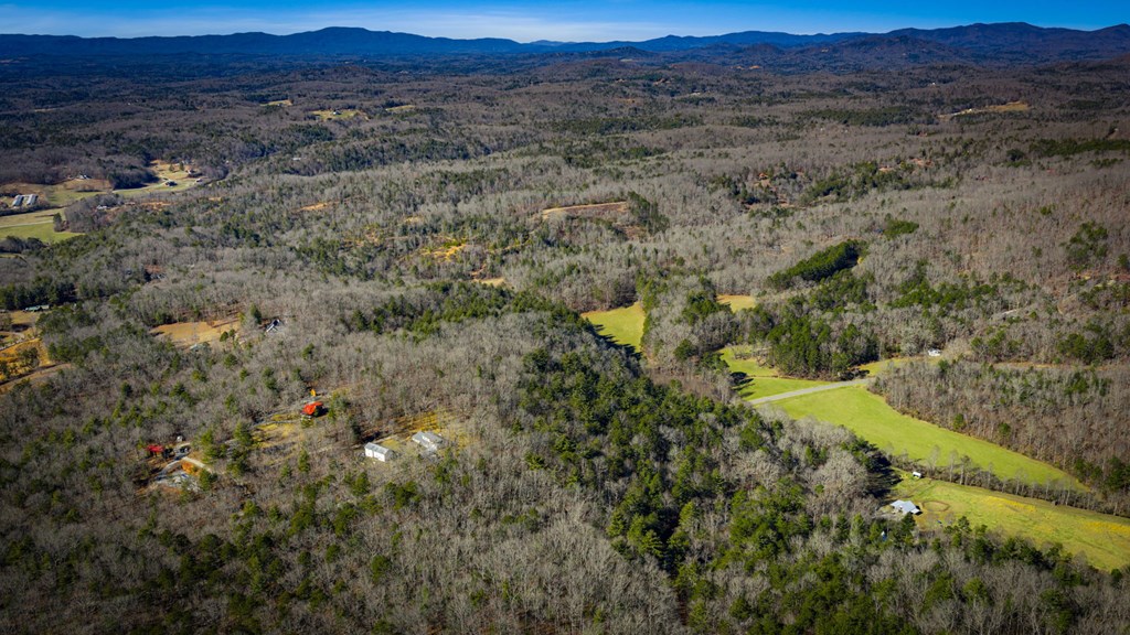 32.3 Maple Grove Road Morganton, GA 30560 - Photo 6 of 46 a view of a lush green hillside and a houses