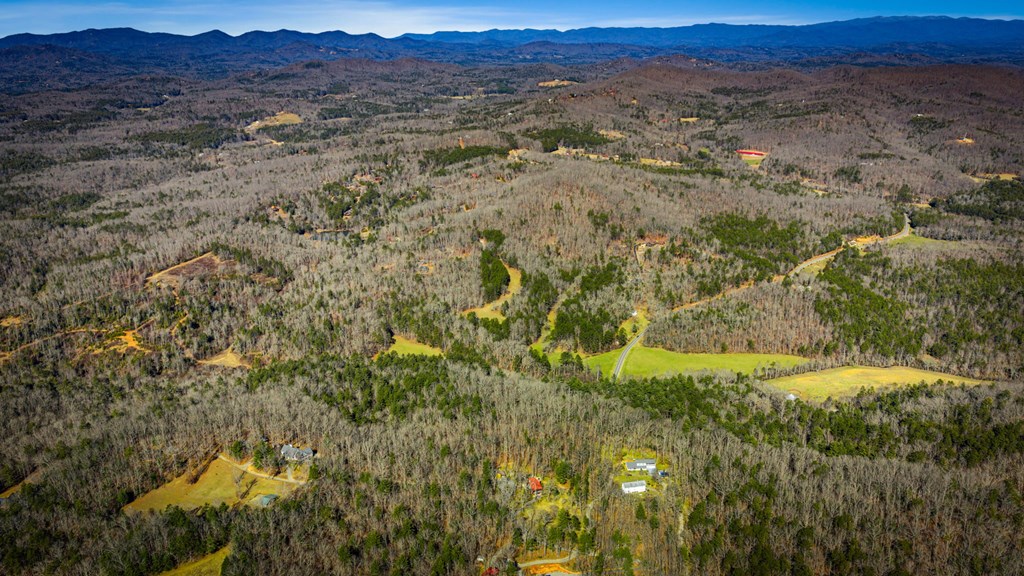 32.3 Maple Grove Road Morganton, GA 30560 - Photo 7 of 46 a view of a lush green hillside and a mountain