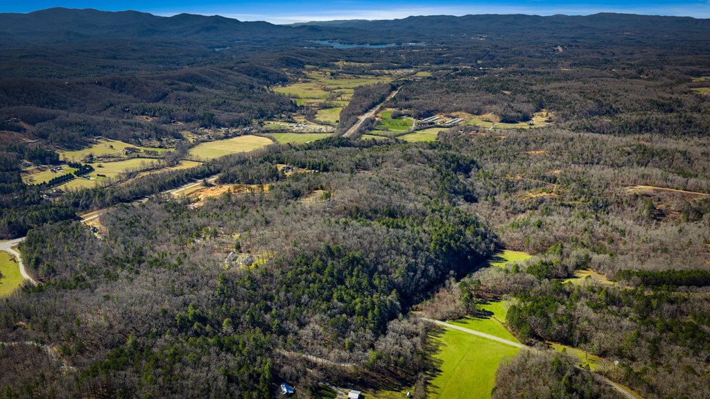 32.3 Maple Grove Road Morganton, GA 30560 - Photo 8 of 46 a view of a forest with a forest