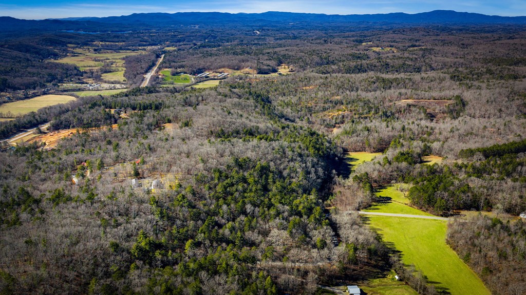 32.3 Maple Grove Road Morganton, GA 30560 - Photo 9 of 46 a view of a forest with a lake