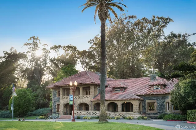 a park with lots of palm trees