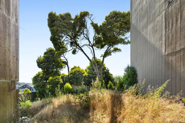 a view of a tree in a garden of a house