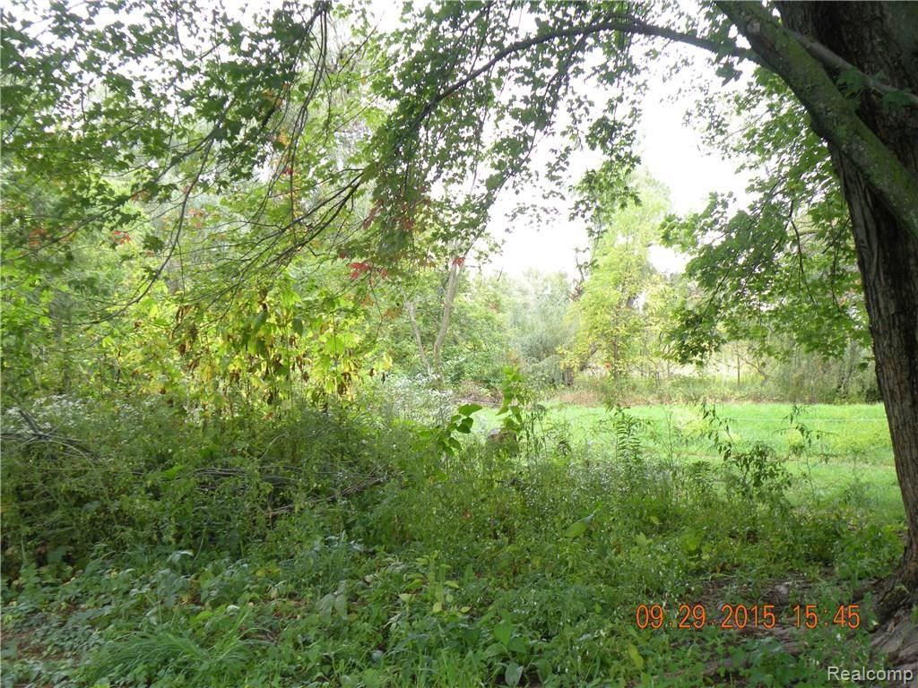 60451 Hayes Road Washington, MI 48094 - Photo 32 of 32 DSCN9153.JPG