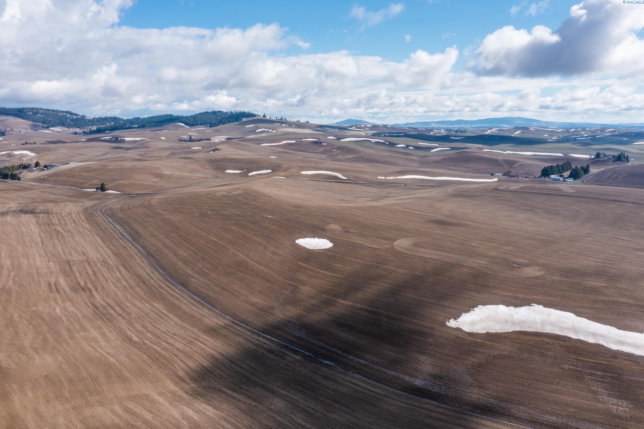 Tbd Trestle Road Palouse, WA 99161 - Photo 6 of 8 Gallery Image 6