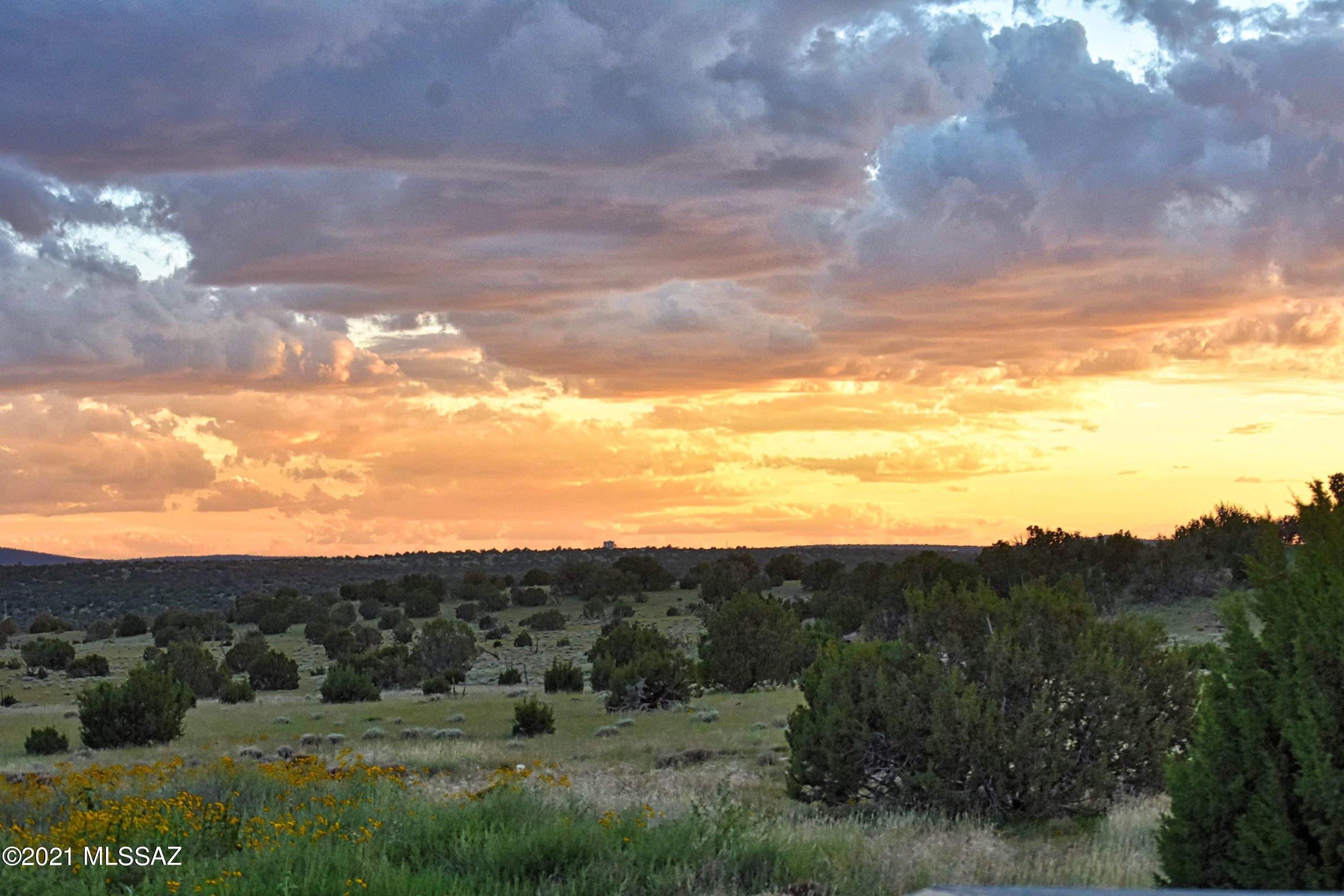 180 County Road Concho, AZ 85924 - Photo 39 of 40