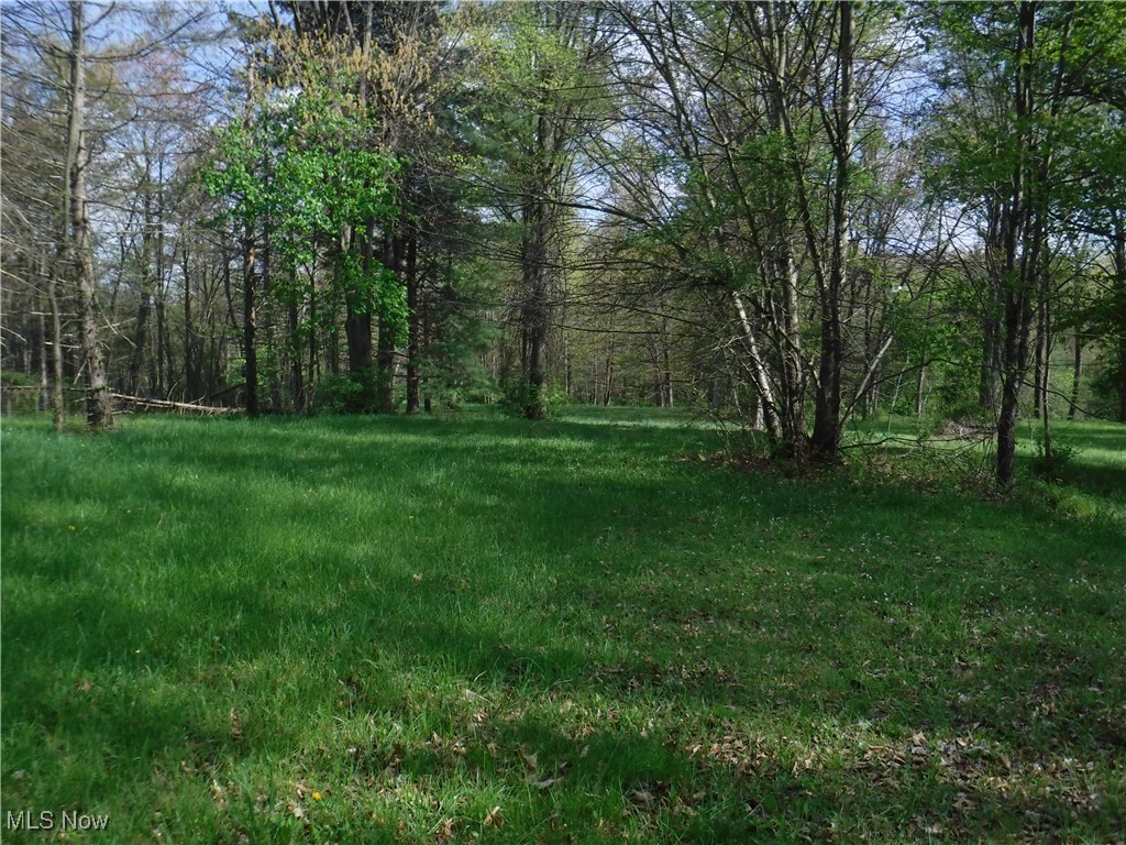 Tuckahoe Road Wooster, OH 44691 - Photo 3 of 9 View of green lawn