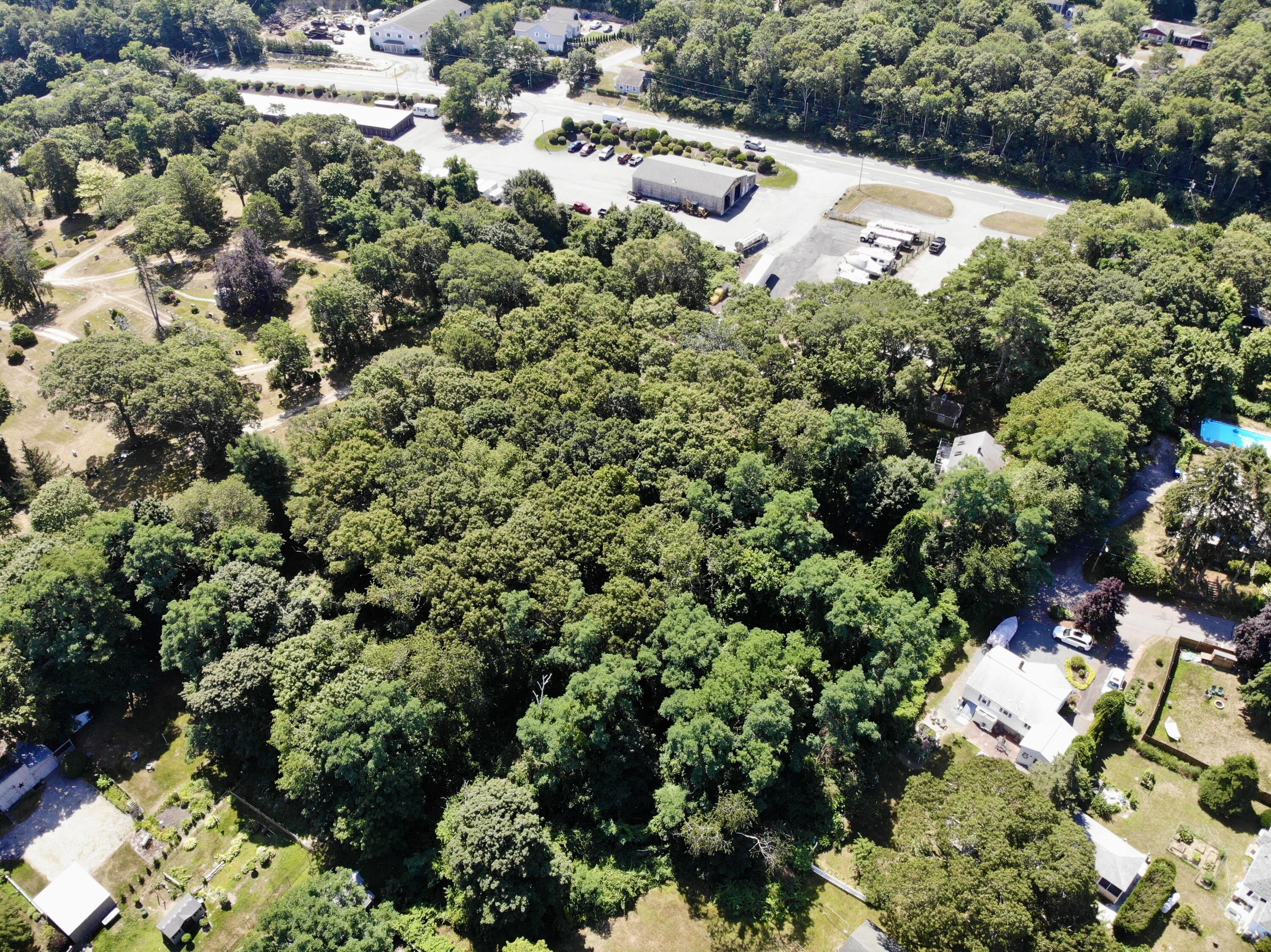 51 Commonwealth Avenue Sagamore, MA 02561 - Photo 4 of 10 a view of a garden with a house