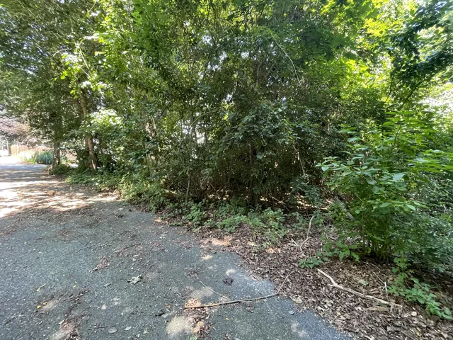 a view of a yard with a tree