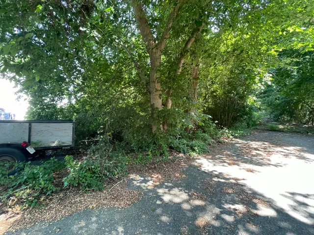 a view of a backyard with a garden