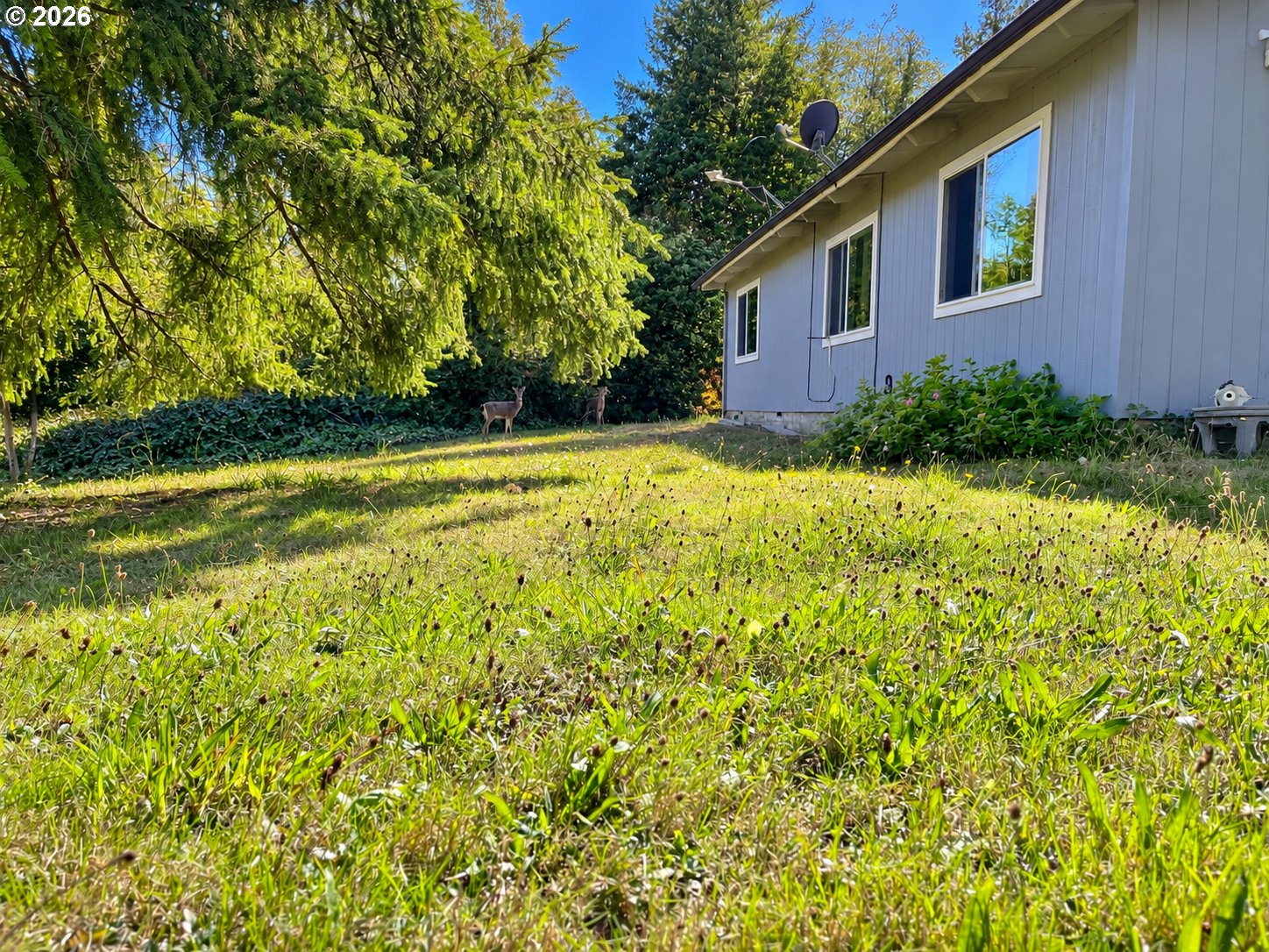 99330 South Bank Chetco River Road Brookings, OR 97415 - Photo 1 of 43 Gallery Image 1