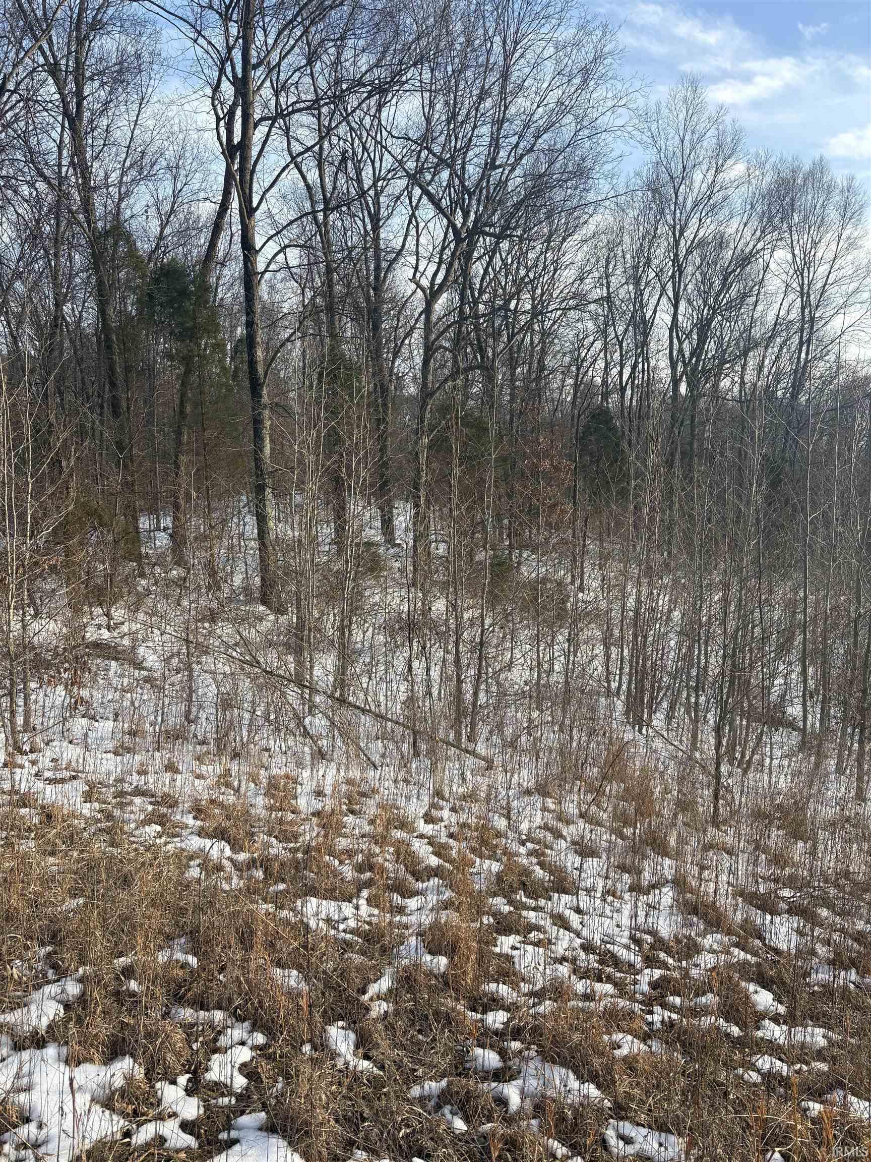 0 Coal Bank Road St. Meinrad, IN 47577 - Photo 2 of 5