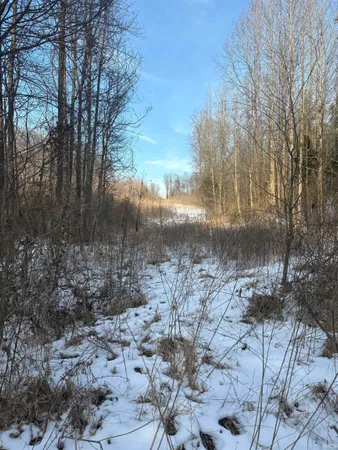 $299,900 | 0 Coal Bank Road, St. Meinrad, IN 47577