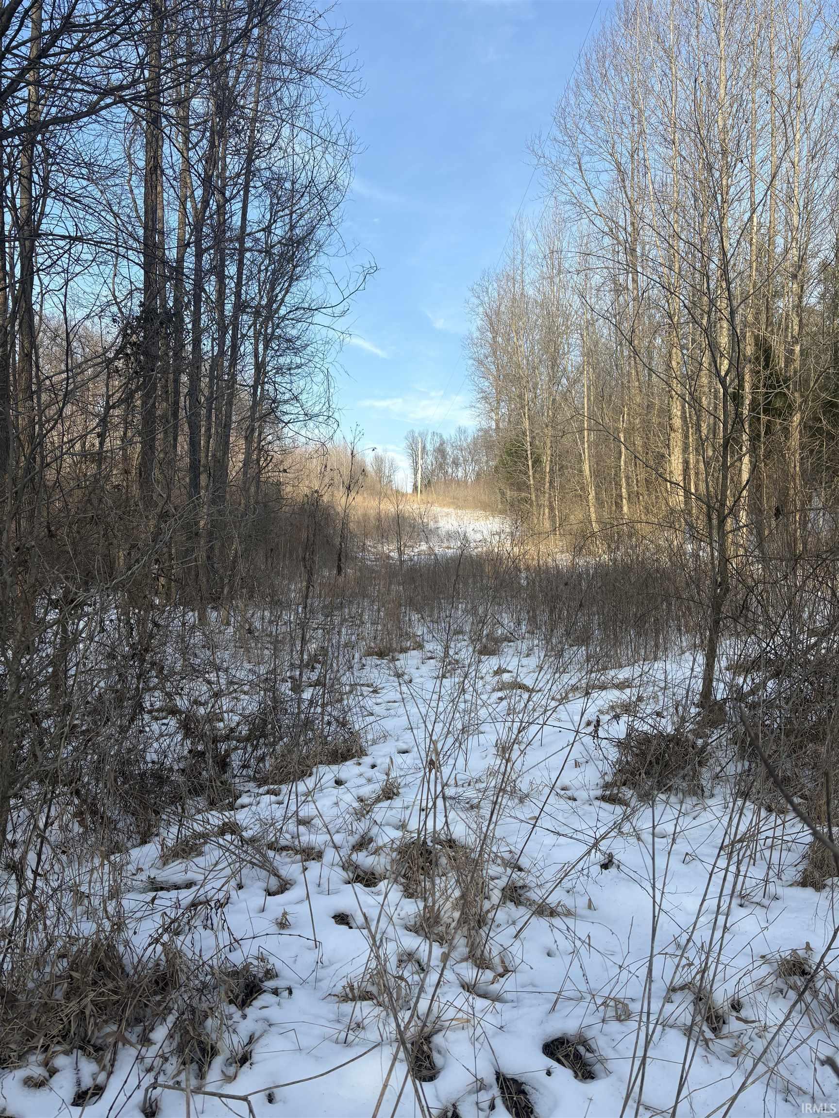 0 Coal Bank Road St. Meinrad, IN 47577 - Photo 4 of 5