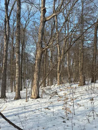 $299,900 | 0 Coal Bank Road, St. Meinrad, IN 47577