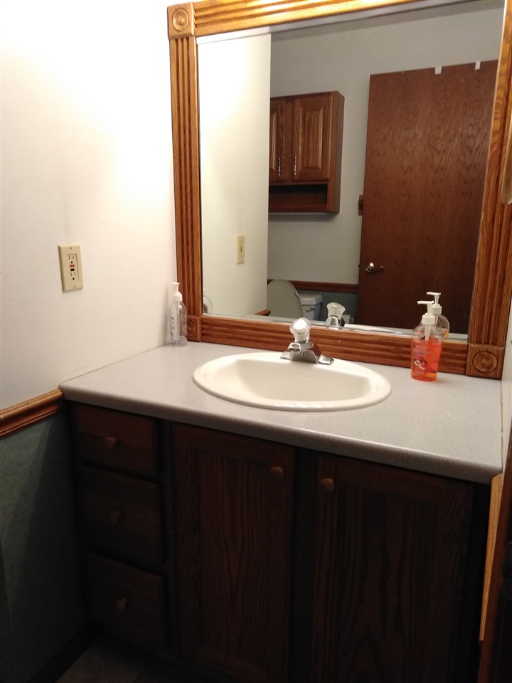1039 South Trainer Road Rockford, IL 61108 - Photo 14 of 18 a bathroom with a sink and a mirror
