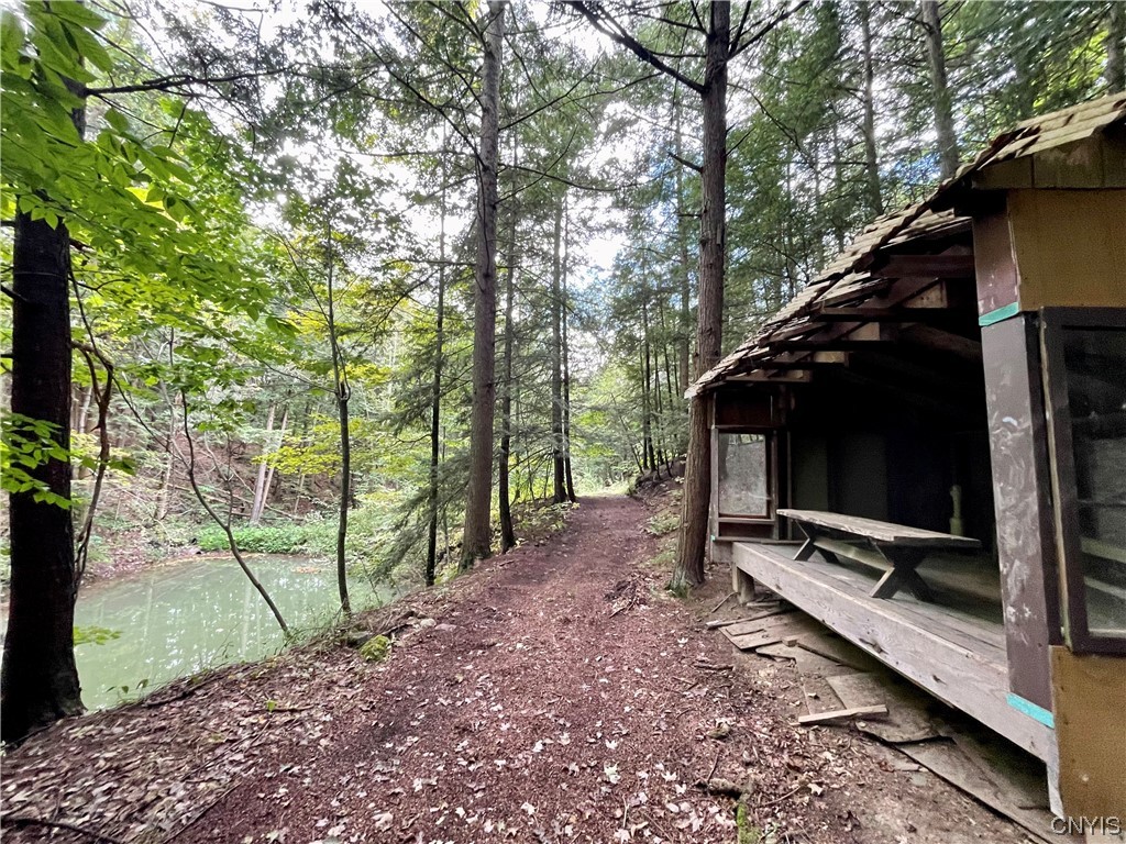 6155 Quarry Road Sullivan, NY 13032 - Photo 27 of 50 Lean-to with its own pond for camping & chasing fi
