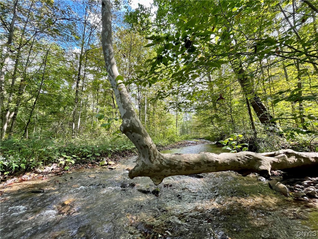 6155 Quarry Road Sullivan, NY 13032 - Photo 28 of 50 The Canaseraga creek that starts in Perriville and