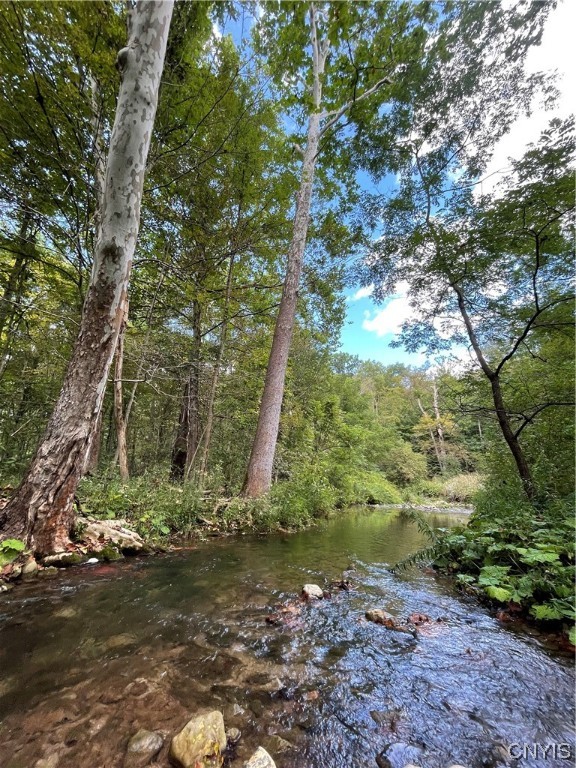 6155 Quarry Road Sullivan, NY 13032 - Photo 30 of 50 The Canaseraga creek that starts in Perriville and