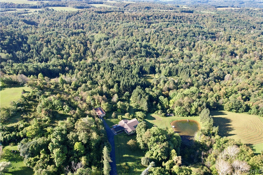6155 Quarry Road Sullivan, NY 13032 - Photo 44 of 50 Birds eye