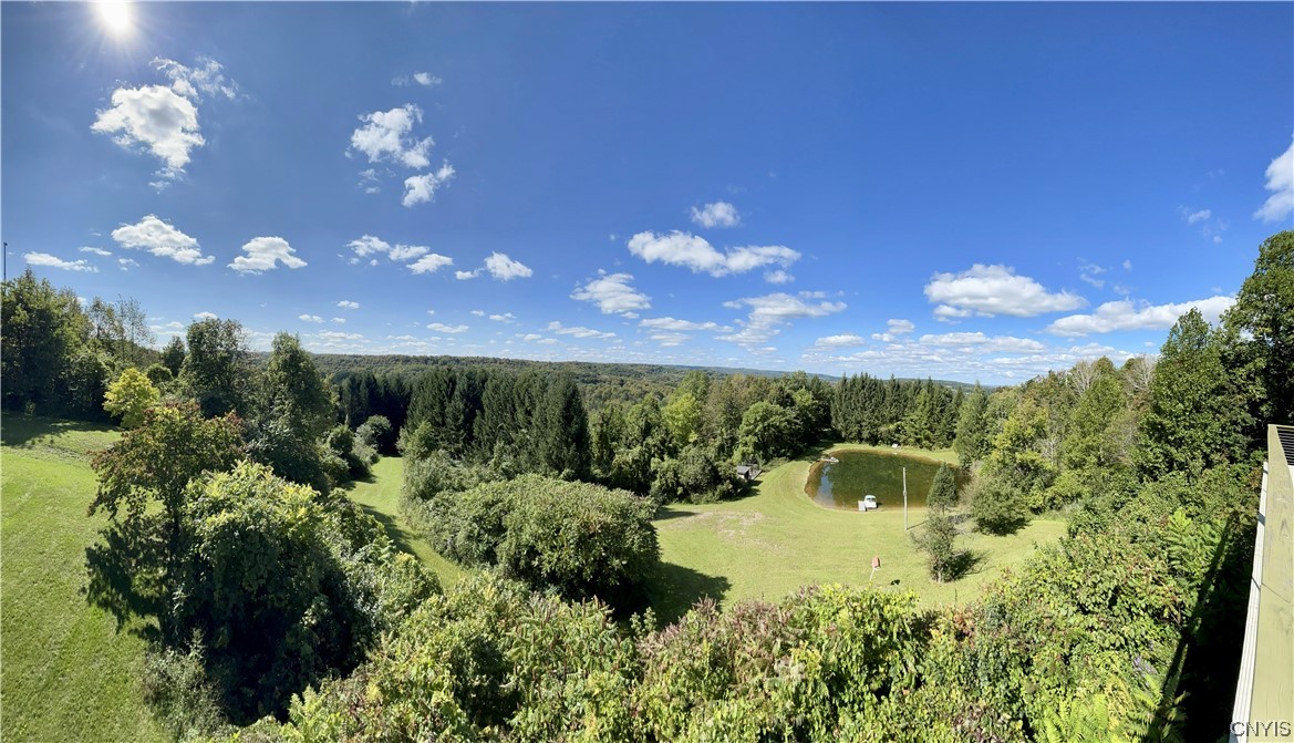 6155 Quarry Road Sullivan, NY 13032 - Photo 46 of 50 Views west from the deck
