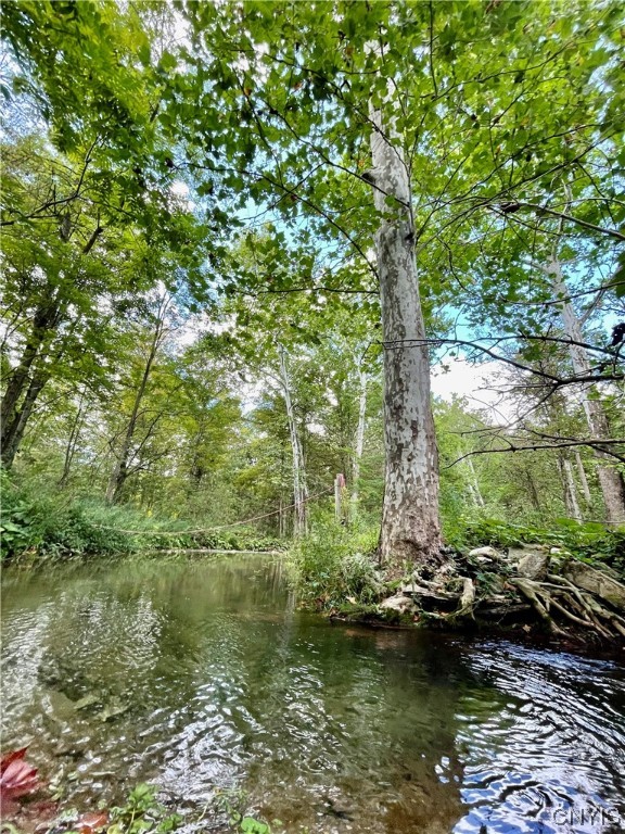 6155 Quarry Road Sullivan, NY 13032 - Photo 48 of 50 The Canaseraga creek that starts in Perriville and