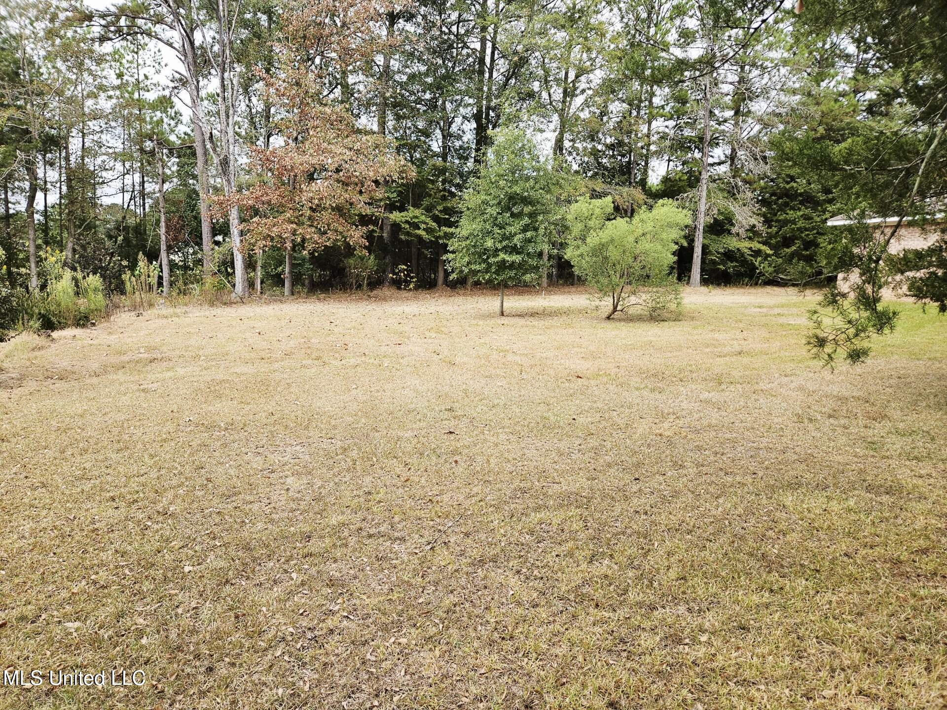 109 Stanton Hall Drive Florence, MS 39073 - Photo 3 of 20 Attachment2