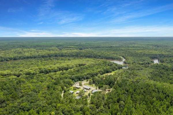 a view of a city with lush green forest