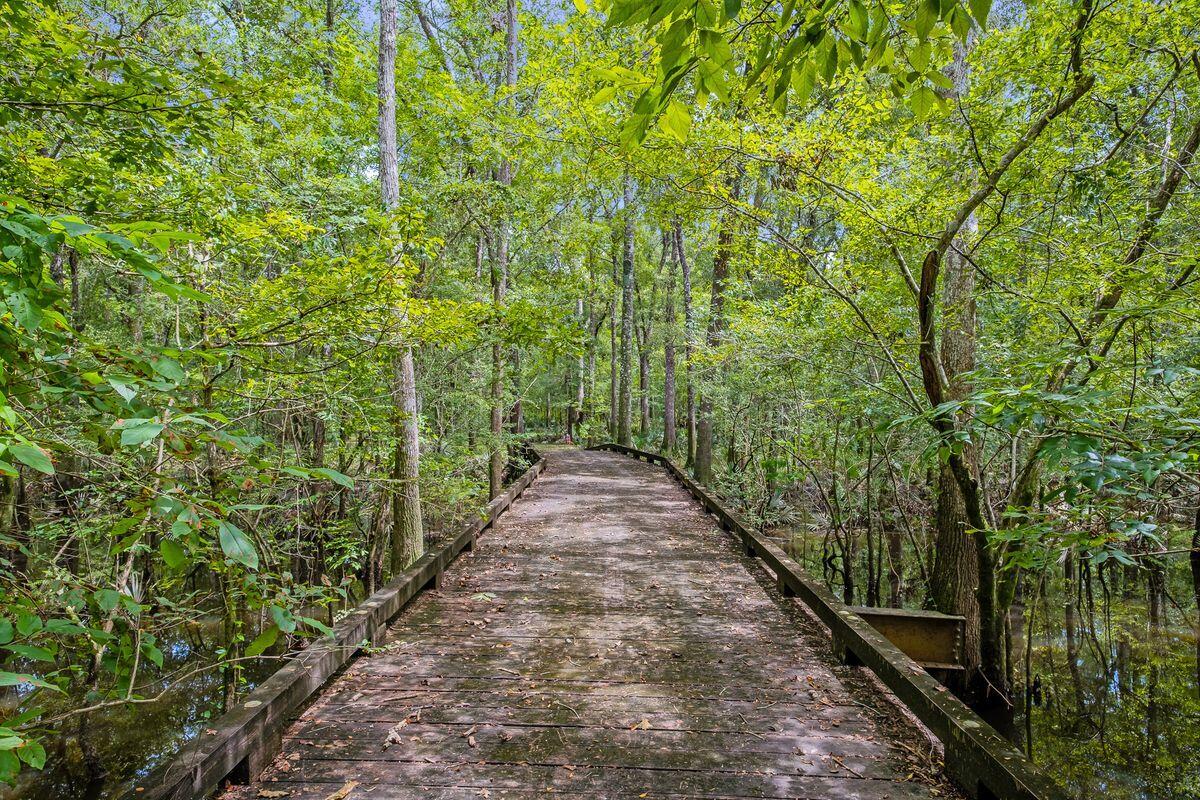 66 Sawmill Road Ponce de Leon, FL 32455 - Photo 6 of 14 a view of a pathway of a garden