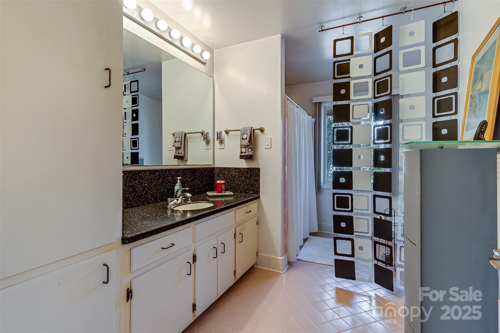 616 Robmont Road Charlotte, NC 28270 - Photo 24 of 38 a kitchen with a cabinets and a potted plant