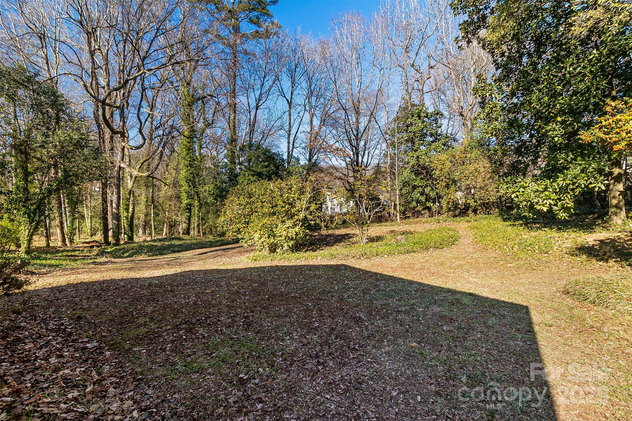 616 Robmont Road Charlotte, NC 28270 - Photo 38 of 38 a view of a yard with a tree