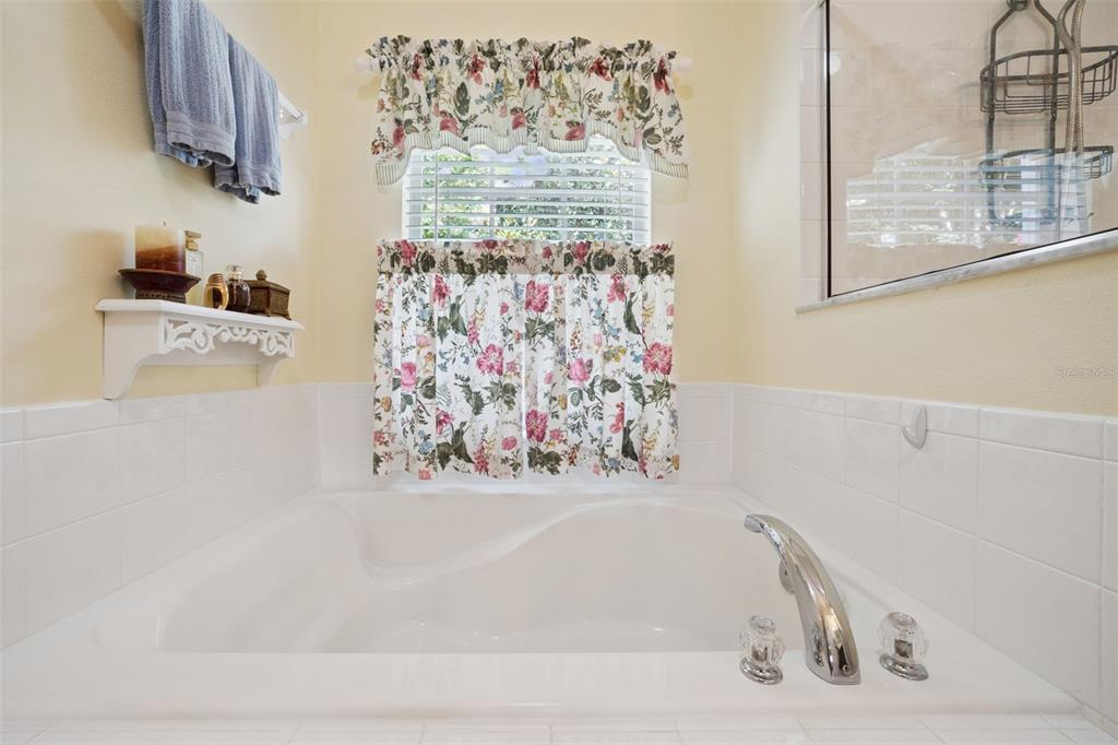 2243 Wolf Ridge Lane Mount Dora, FL 32757 - Photo 34 of 57