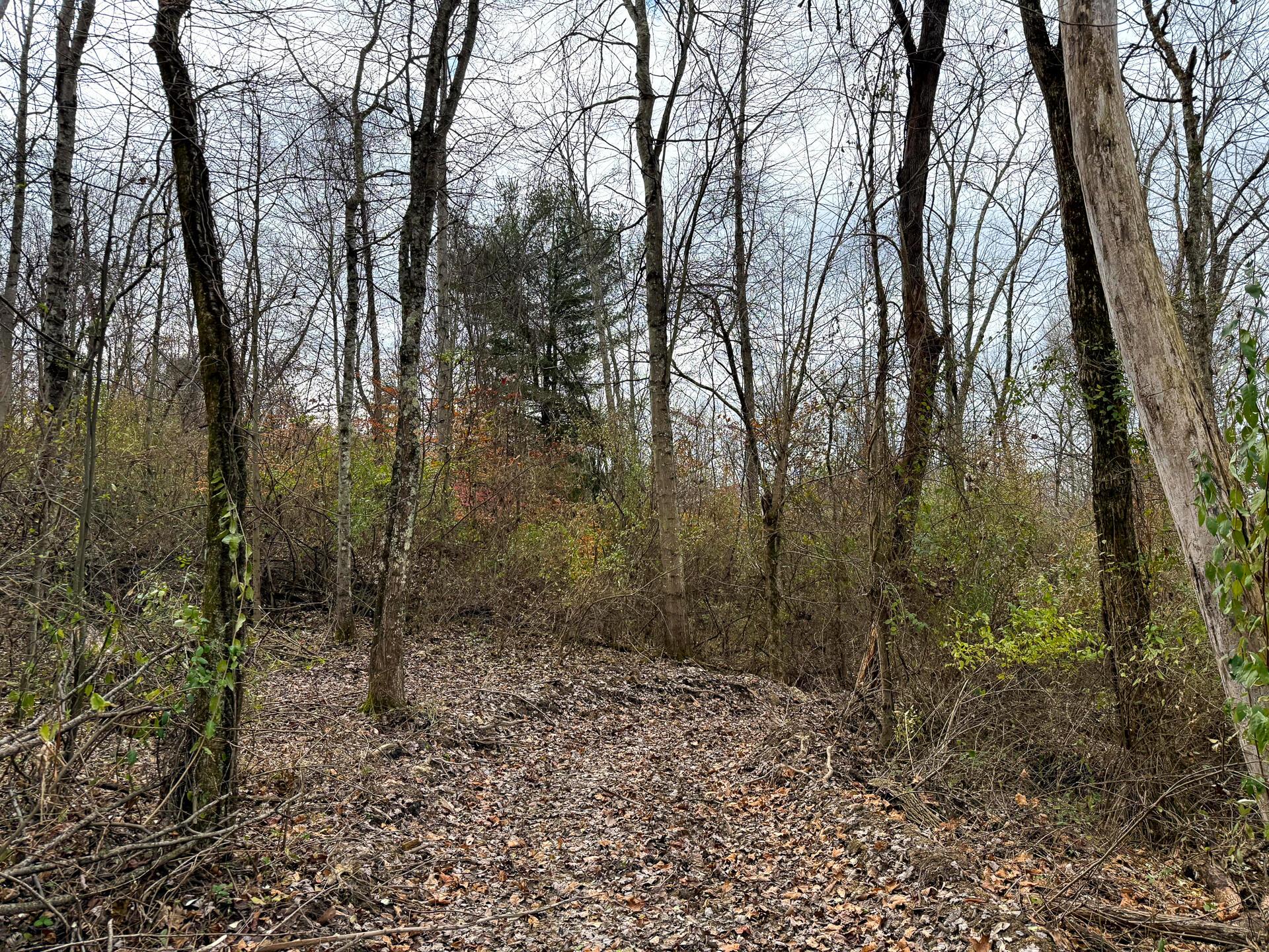 0 Dutch Ridge Road Southeast, Unit WOODS TURKEY RUN TRACT 1) New Lexington, OH 43764 - Photo 19 of 43 CT-19