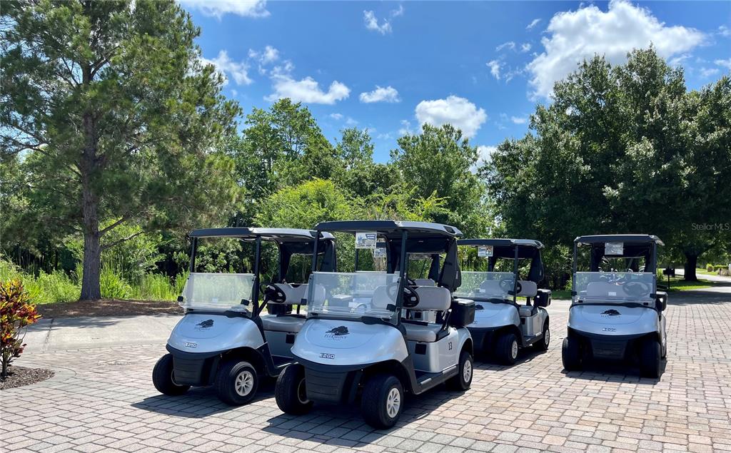 3434 Sagebrush Street Harmony, FL 34773 - Photo 20 of 21 a view of backyard of the house with outdoor seating