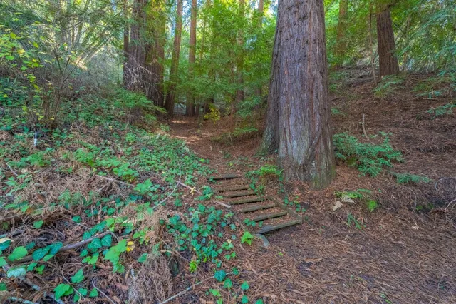 a backyard of a house with lots of green space