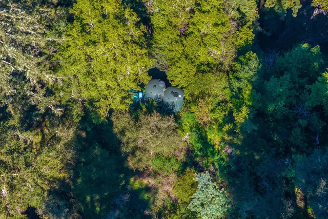 a backyard of a house with lots of green space