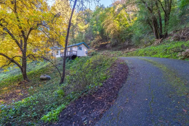 a view of yard with green space